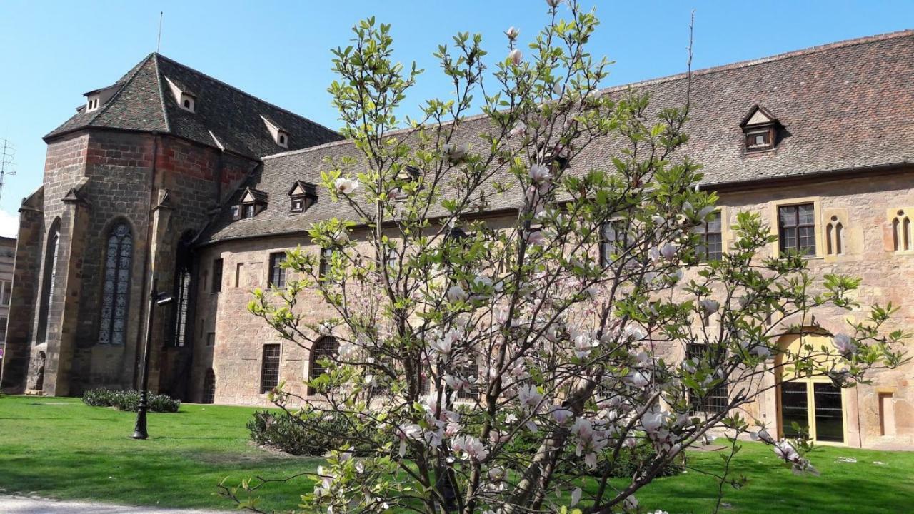 Residences Du Theatre 科尔马 外观 照片